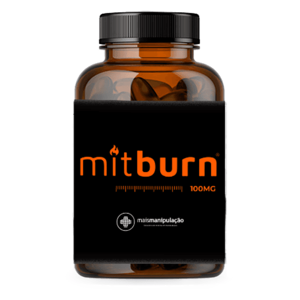 Imagem do Mit Burn